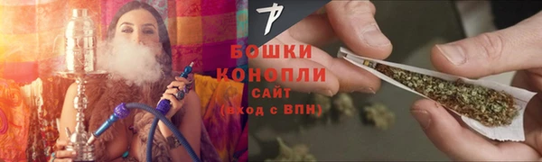 индика Осинники