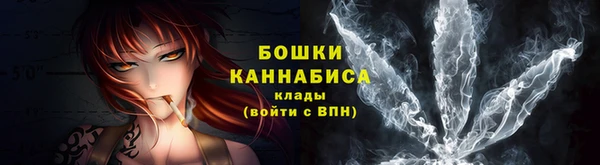 индика Осинники
