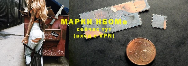индика Осинники