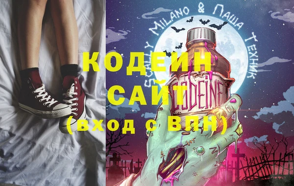 индика Осинники