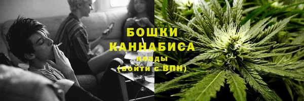 индика Осинники