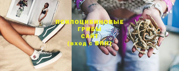 индика Осинники