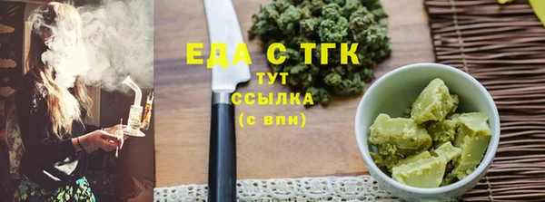 индика Осинники