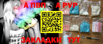 стаф Кандалакша