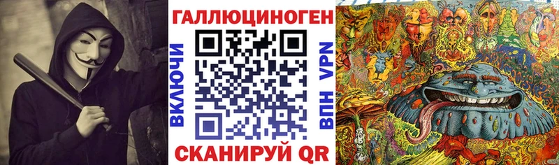 Псилоцибиновые грибы Psilocybine cubensis где можно купить наркотик мега tor Мурино